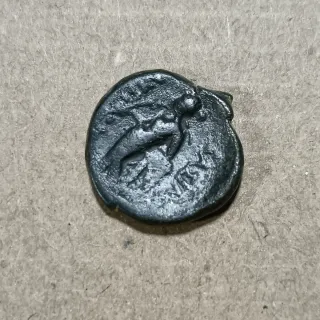 Grecia Antica. Antioco III il Grande 223-187 aC