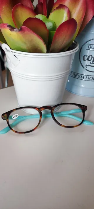 Gafas pasta marrón y azul (+1.00)