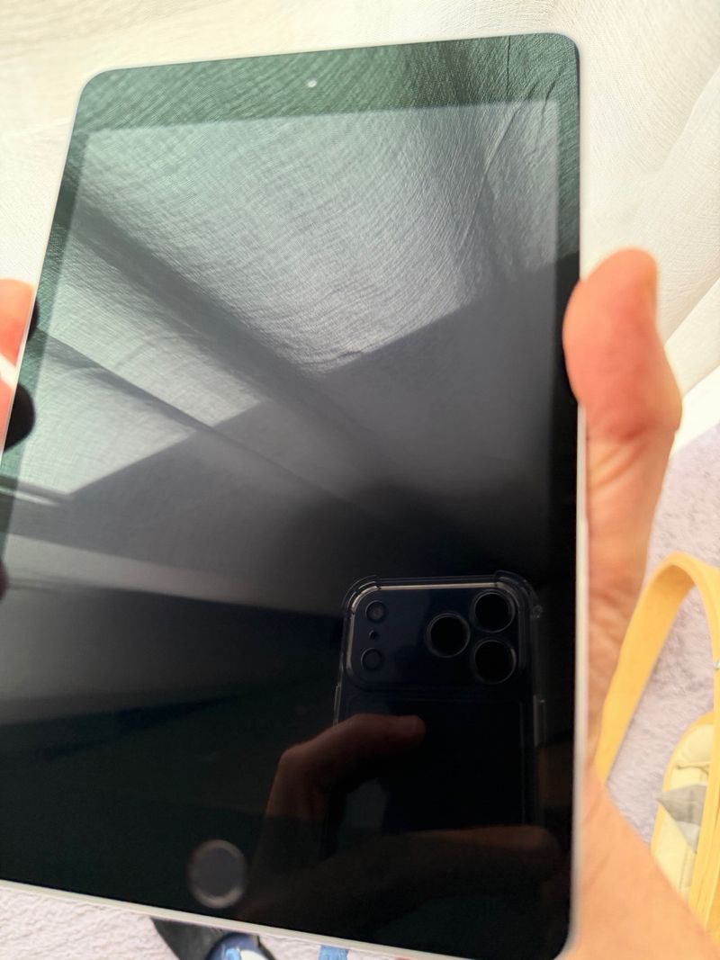 iPad mini 4 Plata afbeelding 9