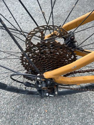 BMC 257 THREE Talla M