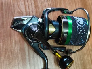 Carrete Daiwa 21 Surf Basia 45QD