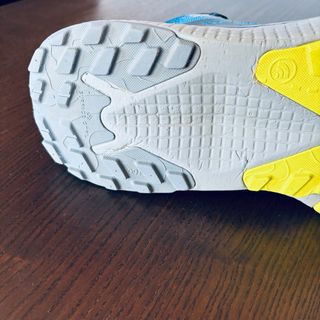 Zapatillas The North Face Altamesa 500