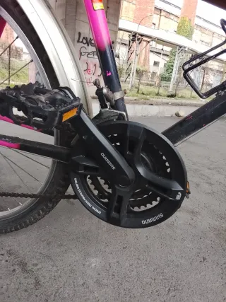 Bicicleta clásica Togano cambios Shimano lista par