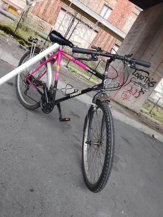 Bicicleta clásica Togano cambios Shimano lista par