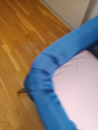 Cuna de Viaje BabyBjorn Poco Uso