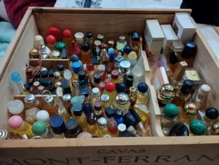 Miniaturas de colonias