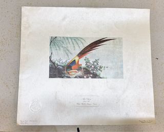 Colección 13 Láminas Motivos Chinos