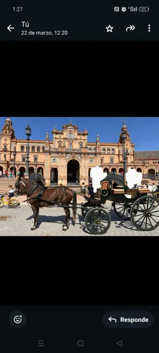 Coche de caballos feria Sevilla 6-7 personas