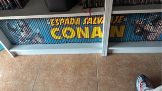 La espada salvaje de conan