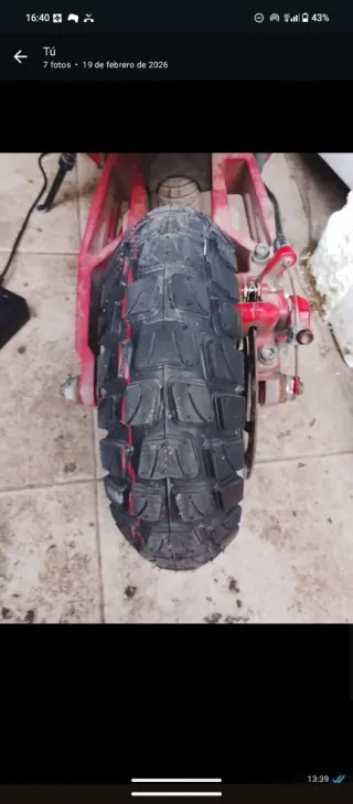 Patinete eléctrico Ecoxtreme más info privado