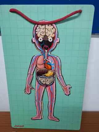 Juego Cuerpo Humano Janod Educativo