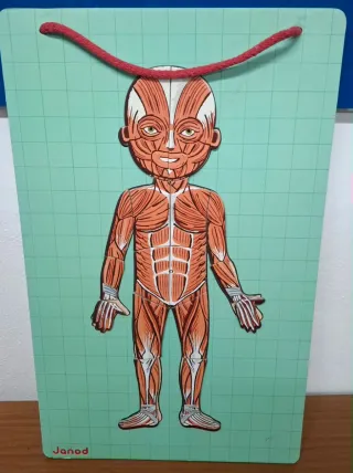 Juego Cuerpo Humano Janod Educativo
