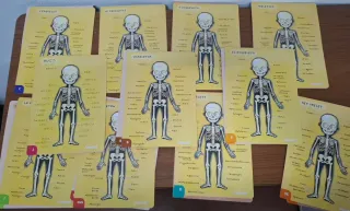 Juego Cuerpo Humano Janod Educativo