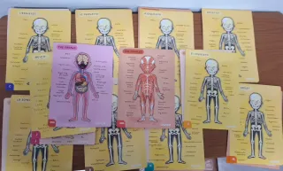 Juego Cuerpo Humano Janod Educativo