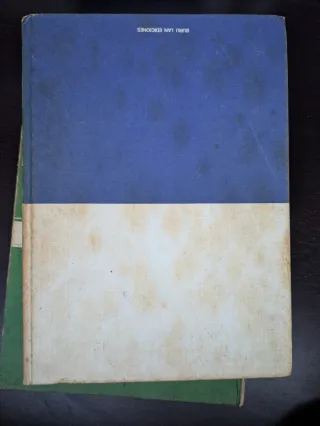 Lote 4 Libri Disney Vintage 1971