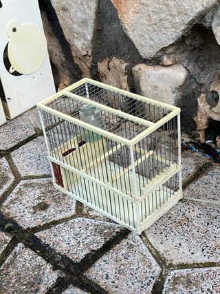 Jaulas para pájaros (varios colores)