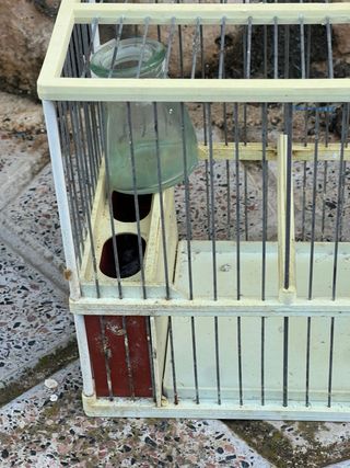 Jaulas para pájaros (varios colores)