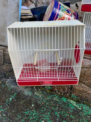 Jaulas para pájaros (varios colores)