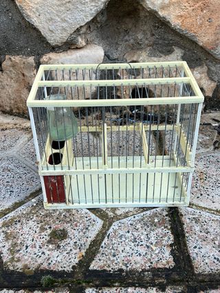 Jaulas para pájaros (varios colores)