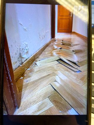 240 tablillas parquet madera 12,5cm