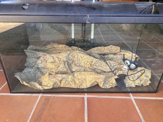 Acuario 200L con accesorios