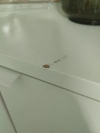 Mueble Vihals Blanco