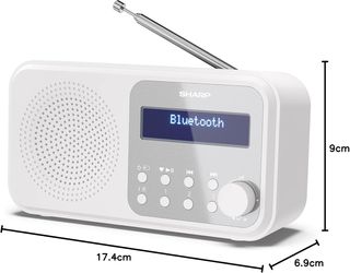 Radio Sharp Tokyo Dab+, Dab y FM