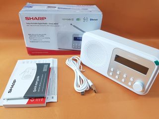 Radio Sharp Tokyo Dab+, Dab y FM