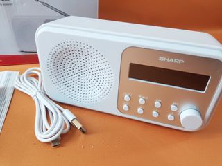 Radio Sharp Tokyo Dab+, Dab y FM