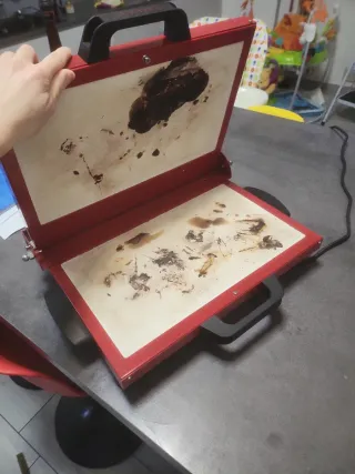 Tigelliera G. Ferrari