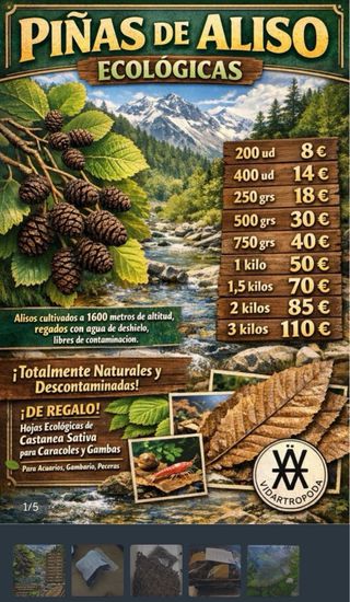 250 gramos de piñas de aliso ecologicas