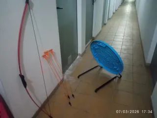 Arco, frecce e Diana