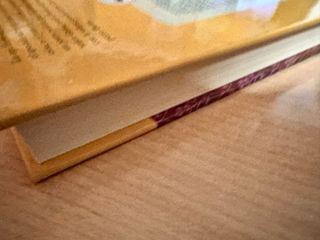 Misterio del gato comediante