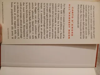 Canto d'amore all'Harvest Moon