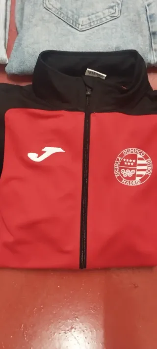 Lote de 6 prendas con y sin marca