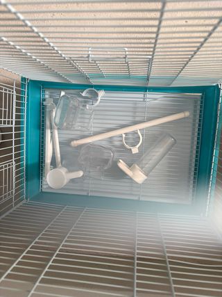 Jaula para pájaros ninfa