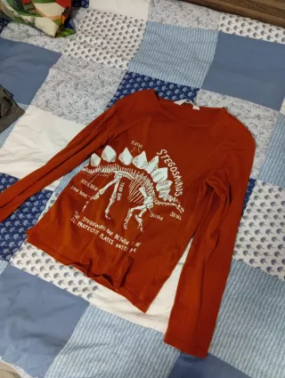 Lote 4 Camisetas Niño Manga Larga Talla 6-7