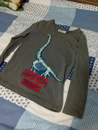 Lote 4 Camisetas Niño Manga Larga Talla 6-7