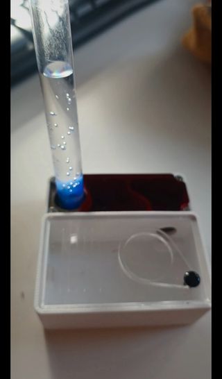 2 Hormigueros para reina