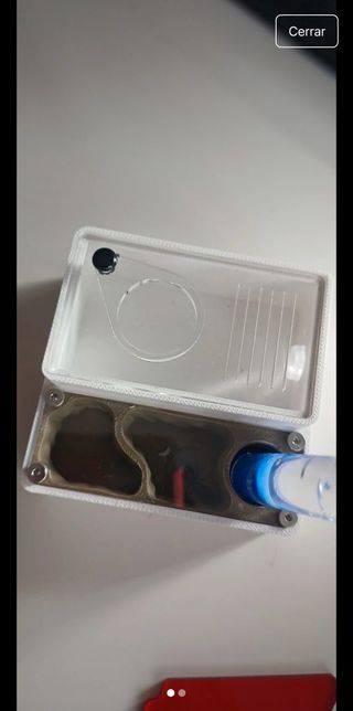 2 Hormigueros para reina