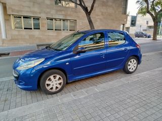 Peugeot 206 Petina C