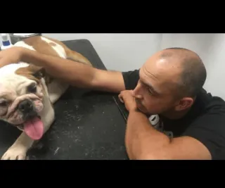 Cuidador, paseador de mascotas.