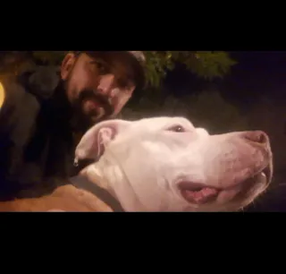 Cuidador, paseador de mascotas.