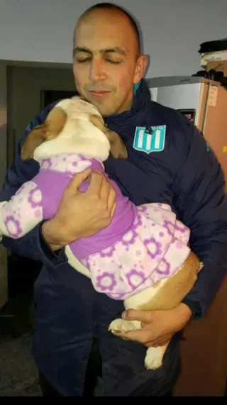 Cuidador, paseador de mascotas.