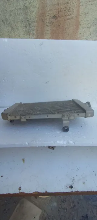 Radiador Original Raptor 660