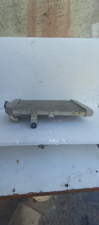 Radiador Original Raptor 660