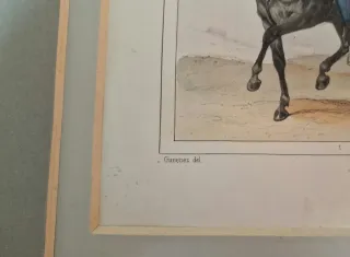 3 litografie 1850-1860 con passe-partout. Uniformi