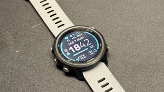 Garmin Forerunner 245