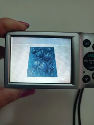 Canon IXUS 145 16 MP funziona no caricatore.