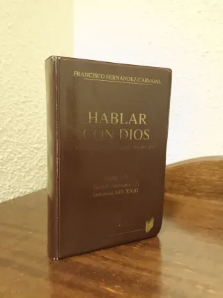 Hablar con Dios. Tomo IV: Semanas XIII-XXIII (S...